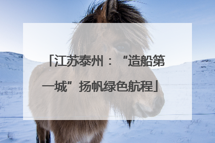 江苏泰州：“造船第一城”扬帆绿色航程