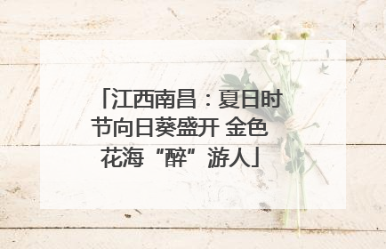 江西南昌：夏日时节向日葵盛开 金色花海“醉”游人
