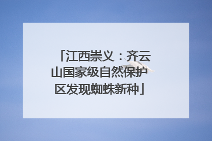 江西崇义：齐云山国家级自然保护区发现蜘蛛新种