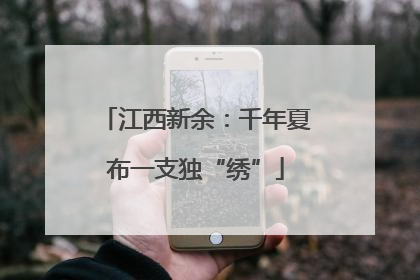 江西新余：千年夏布一支独“绣”