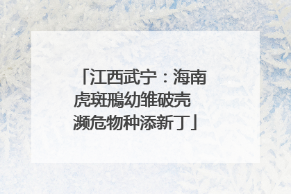 江西武宁：海南虎斑鳽幼雏破壳 濒危物种添新丁