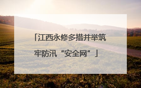 江西永修多措并举筑牢防汛“安全网”