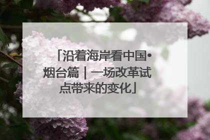 沿着海岸看中国•烟台篇｜一场改革试点带来的变化