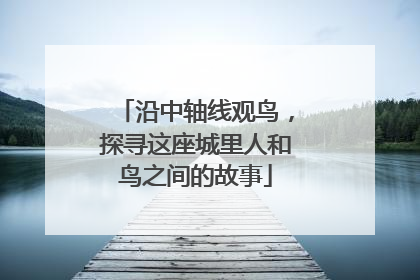 沿中轴线观鸟，探寻这座城里人和鸟之间的故事