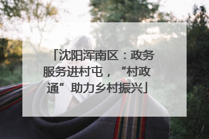 沈阳浑南区：政务服务进村屯，“村政通”助力乡村振兴