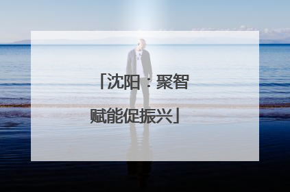 沈阳：聚智赋能促振兴