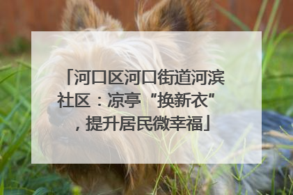 河口区河口街道河滨社区：凉亭“换新衣”，提升居民微幸福