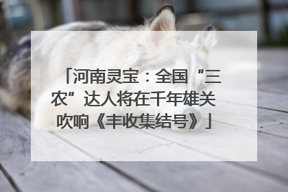 河南灵宝：全国“三农”达人将在千年雄关吹响《丰收集结号》