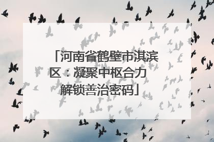 河南省鹤壁市淇滨区：凝聚中枢合力 解锁善治密码