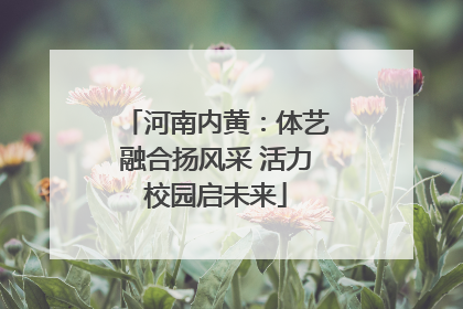 河南内黄：体艺融合扬风采 活力校园启未来