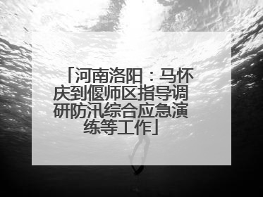 河南洛阳：马怀庆到偃师区指导调研防汛综合应急演练等工作