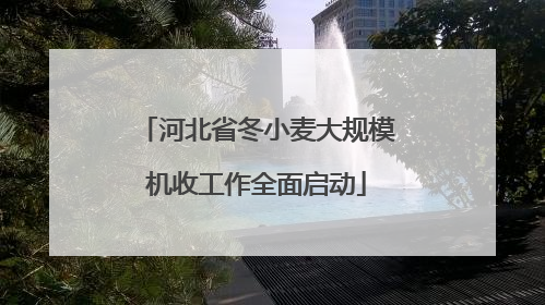河北省冬小麦大规模机收工作全面启动
