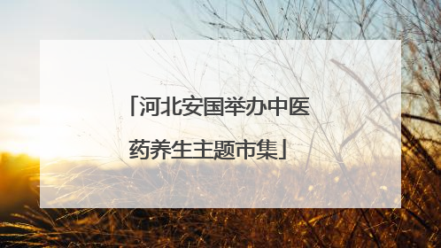 河北安国举办中医药养生主题市集