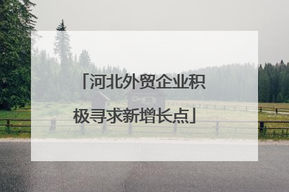 河北外贸企业积极寻求新增长点