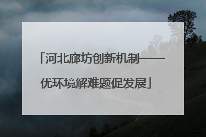 河北廊坊创新机制——优环境解难题促发展