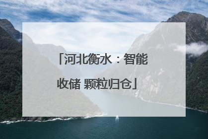 河北衡水：智能收储 颗粒归仓