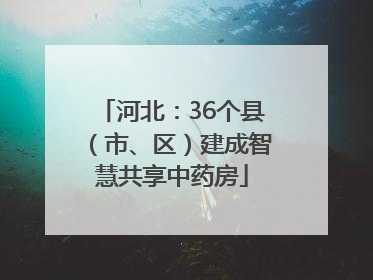 河北：36个县（市、区）建成智慧共享中药房