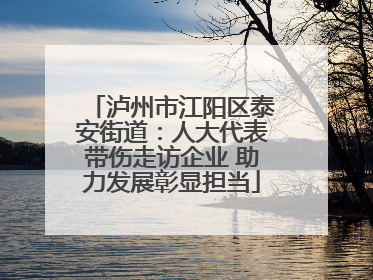 泸州市江阳区泰安街道：人大代表带伤走访企业 助力发展彰显担当