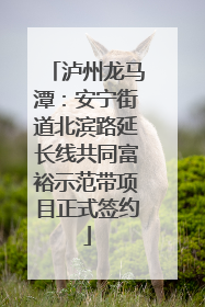 泸州龙马潭：安宁街道北滨路延长线共同富裕示范带项目正式签约