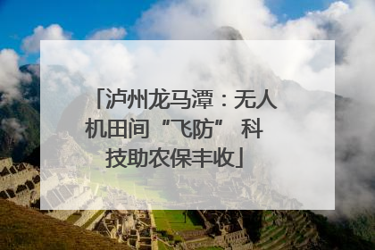 泸州龙马潭：无人机田间“飞防” 科技助农保丰收
