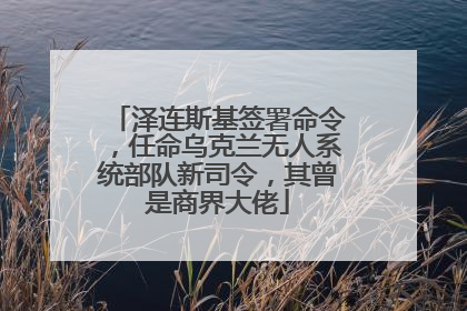 泽连斯基签署命令，任命乌克兰无人系统部队新司令，其曾是商界大佬