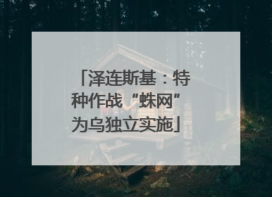 泽连斯基：特种作战“蛛网”为乌独立实施