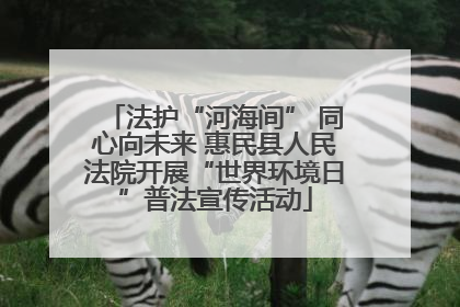 法护“河海间” 同心向未来 惠民县人民法院开展“世界环境日”普法宣传活动