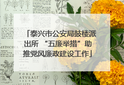 泰兴市公安局鼓楼派出所 “五廉举措”助推党风廉政建设工作