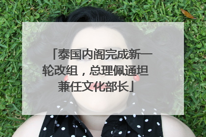 泰国内阁完成新一轮改组，总理佩通坦兼任文化部长