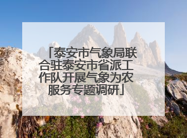 泰安市气象局联合驻泰安市省派工作队开展气象为农服务专题调研