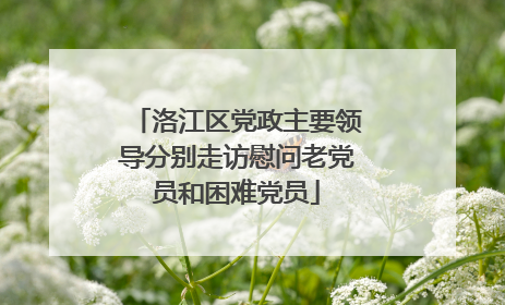 洛江区党政主要领导分别走访慰问老党员和困难党员
