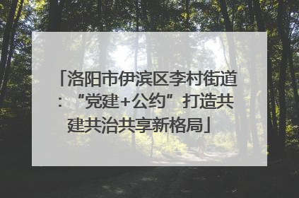 洛阳市伊滨区李村街道：“党建+公约”打造共建共治共享新格局