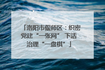 洛阳市偃师区：织密党建“一张网” 下活治理“一盘棋”