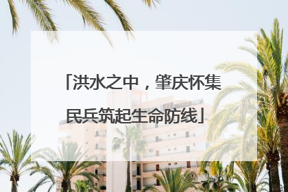 洪水之中，肇庆怀集民兵筑起生命防线