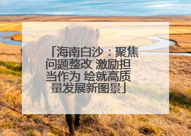 海南白沙：聚焦问题整改 激励担当作为 绘就高质量发展新图景