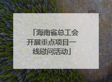 海南省总工会开展重点项目一线慰问活动