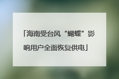 海南受台风“蝴蝶”影响用户全面恢复供电