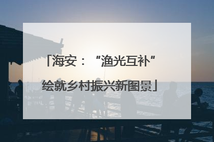 海安：“渔光互补” 绘就乡村振兴新图景