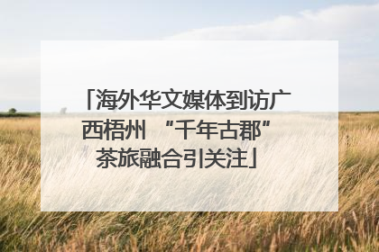 海外华文媒体到访广西梧州 “千年古郡”茶旅融合引关注