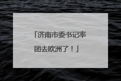 济南市委书记率团去欧洲了！
