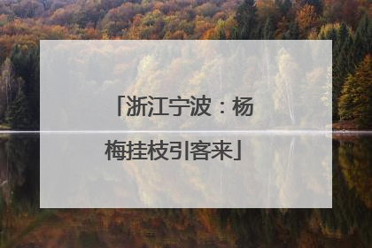 浙江宁波：杨梅挂枝引客来