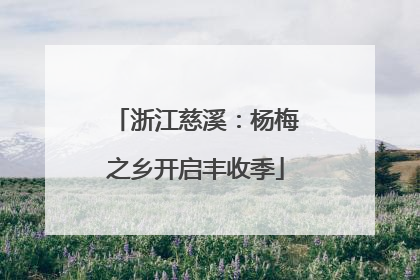 浙江慈溪：杨梅之乡开启丰收季