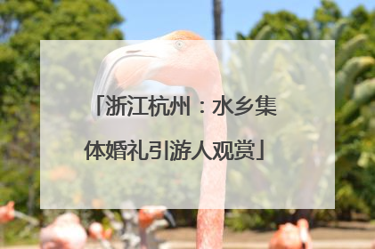 浙江杭州：水乡集体婚礼引游人观赏