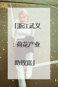 浙江武义：荷花产业助致富