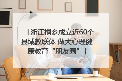 浙江桐乡成立近60个县域教联体 做大心理健康教育“朋友圈”