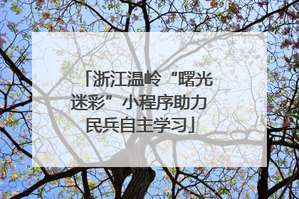 浙江温岭“曙光迷彩”小程序助力民兵自主学习