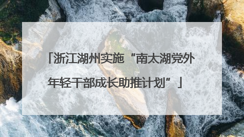 浙江湖州实施“南太湖党外年轻干部成长助推计划”