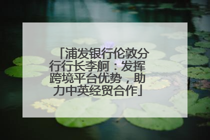 浦发银行伦敦分行行长李舸：发挥跨境平台优势，助力中英经贸合作