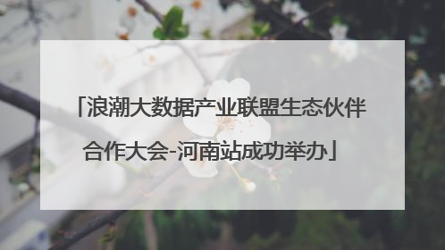浪潮大数据产业联盟生态伙伴合作大会-河南站成功举办