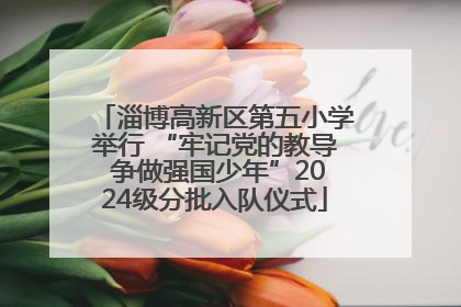 淄博高新区第五小学举行 “牢记党的教导 争做强国少年”2024级分批入队仪式